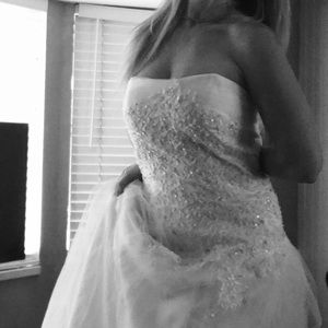 Meet your Posher, Sandy